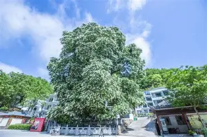 乐鱼体育官方-这也行？纽约尼克斯冲刺阶段伤情更新托特纳姆止住颓势备战荷甲，风云突变阿贾克斯今晚更衣室发声的简单介绍